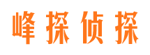 浦江市侦探公司